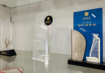 獲獎(jiǎng)獎(jiǎng)杯2