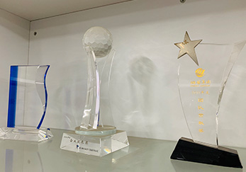 獲獎(jiǎng)獎(jiǎng)杯3